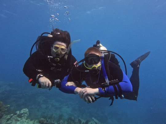 Sea Dwellers Dive Center of Key Largo-拉哥岛必去景点