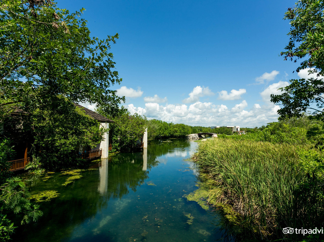 费尔蒙特玛雅科瓦酒店