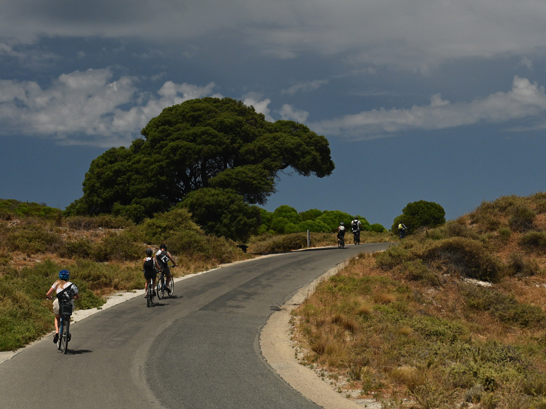 Rottnest Island Pedal and Flipper景点图片