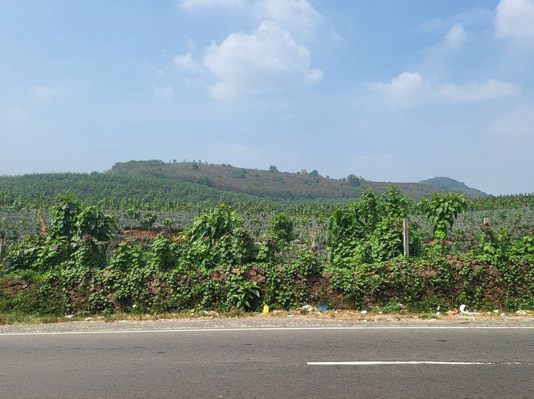 D ‘Heavenly Mist Resorts主图