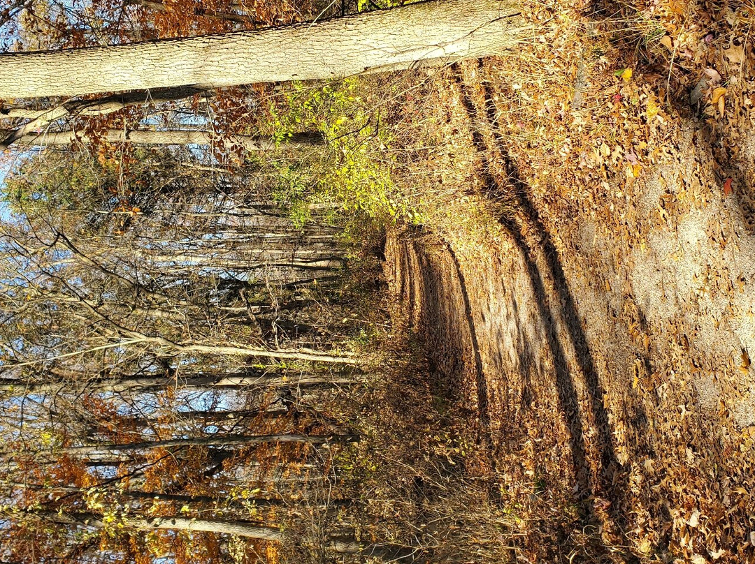 Eagle Creek Park-印第安纳波利斯必去景点