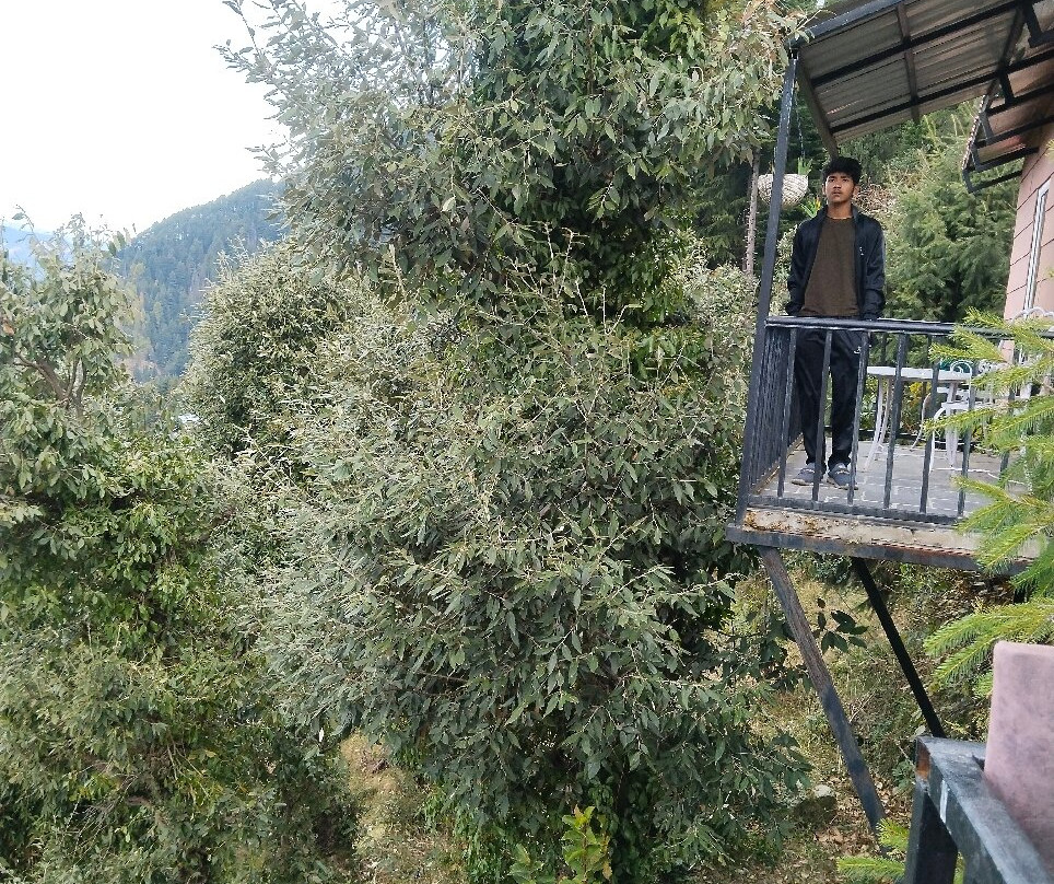 Aaroham By Aamod主图