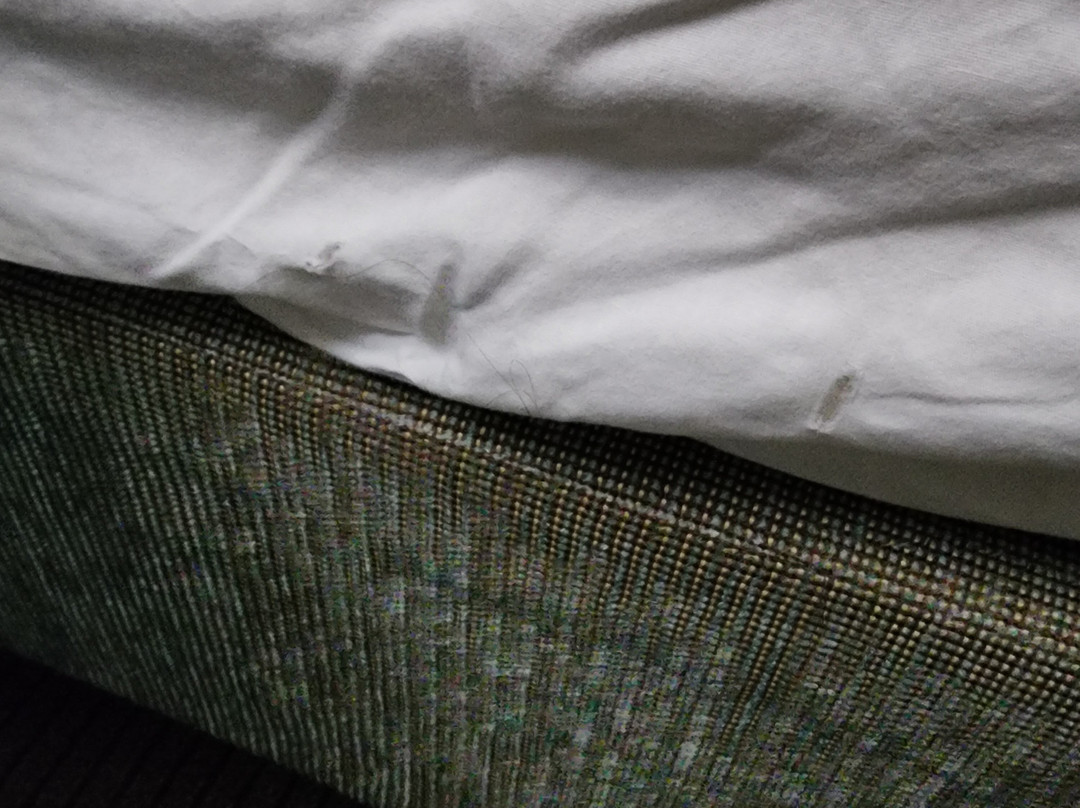 罗利达勒姆机场凯悦居所主图