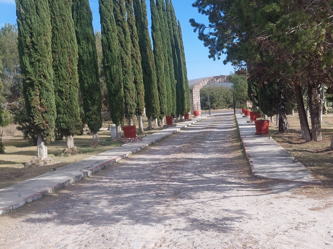 Hotel Atotonilco El Viejo主图