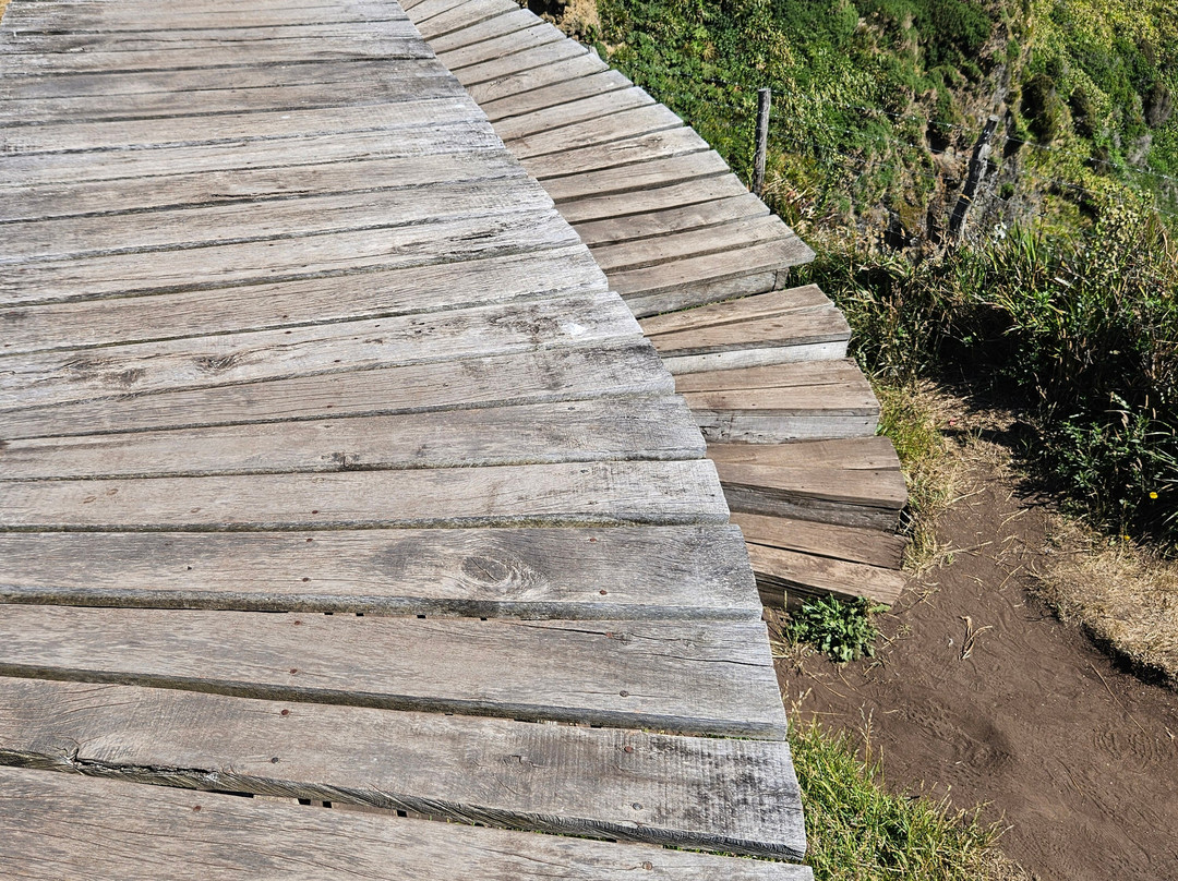 Muelle de las Almas-Cucao必去景点