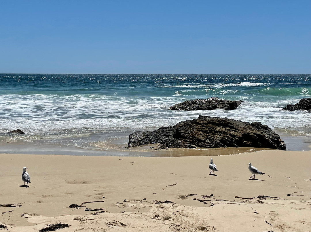 One Mile Beach景点图片