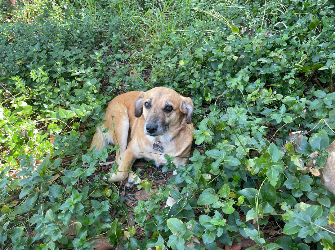 Renacer Hostal主图