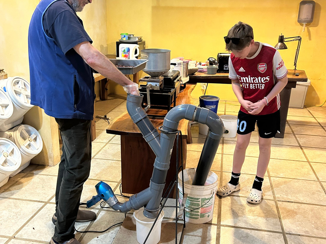 Cabure Chocolate Tour-蒙特沃德必去景点