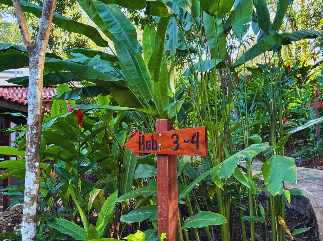 Hotel La Aldea del Halach Huinic主图