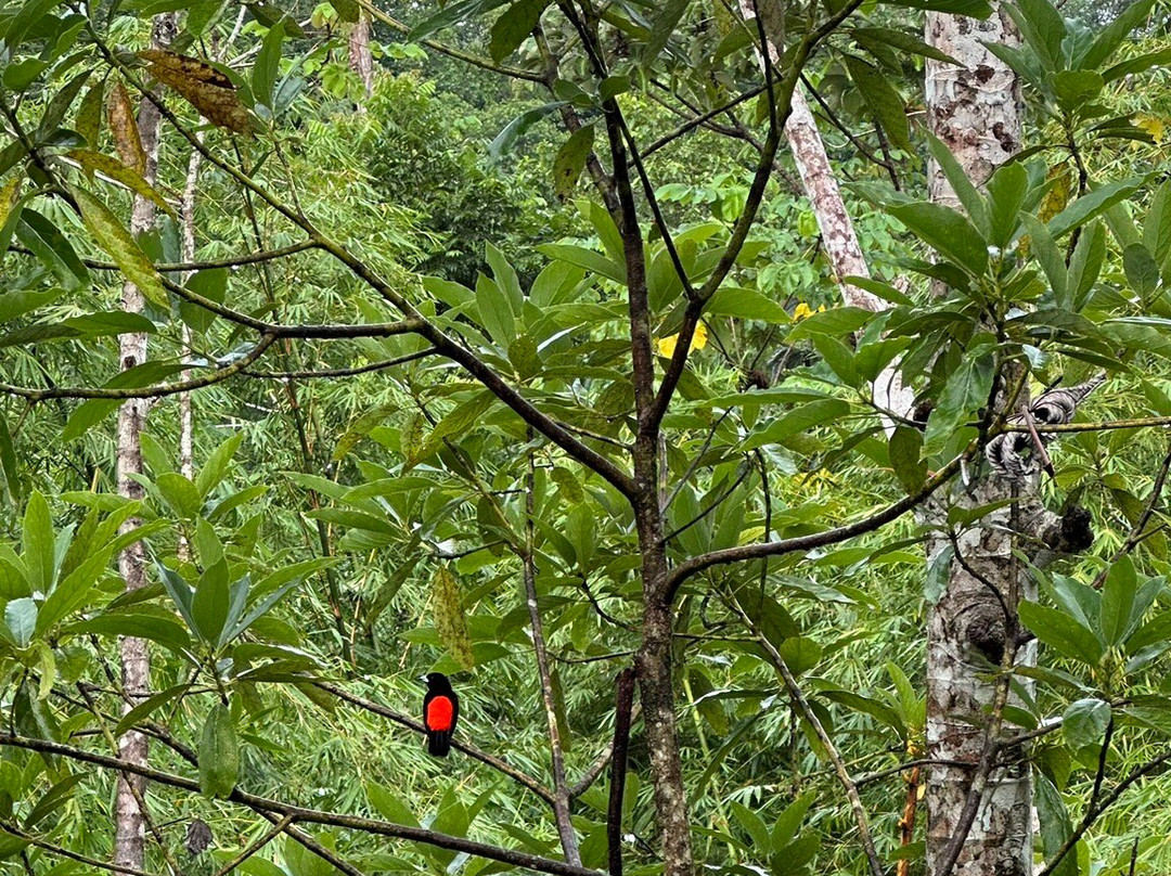 GreenPoint Drake Bay主图