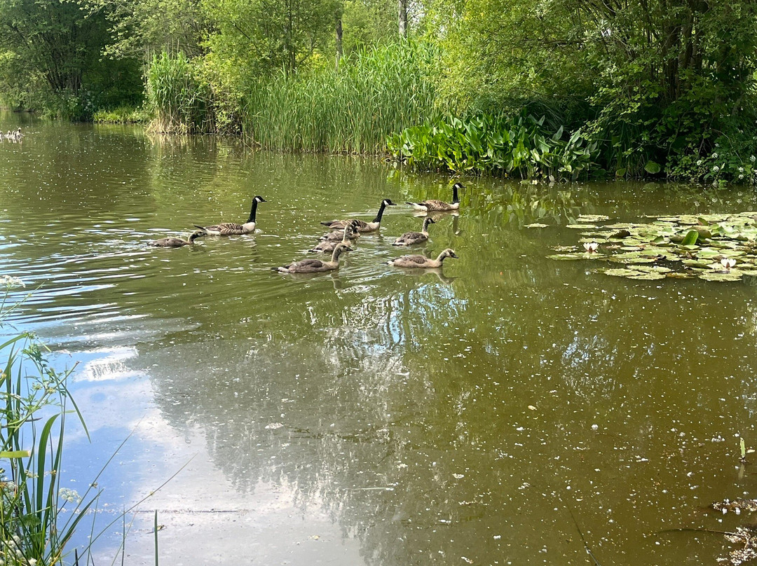 Gabriels Fishery-Edenbridge必去景点