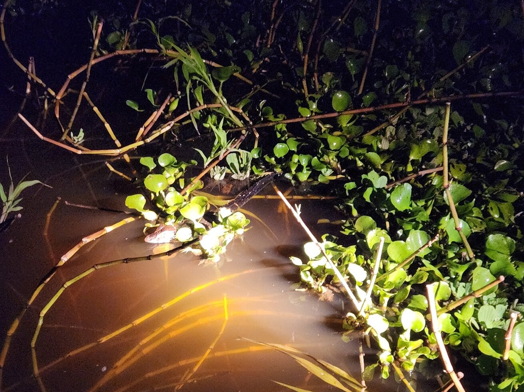 Muyuna Amazon Lodge Experience景点图片
