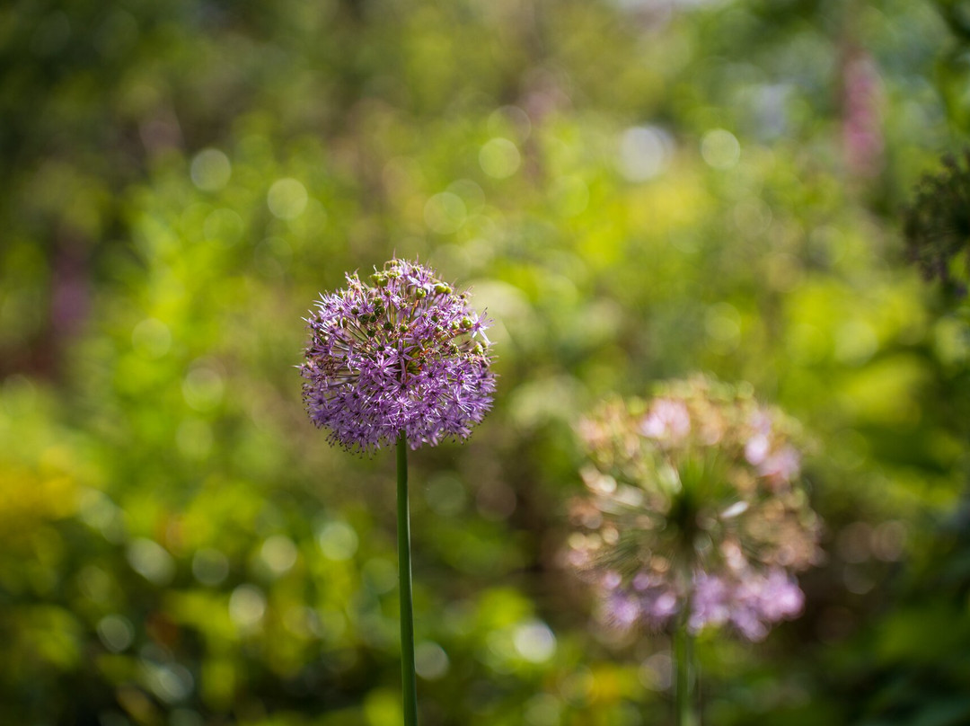 Cruachan House主图