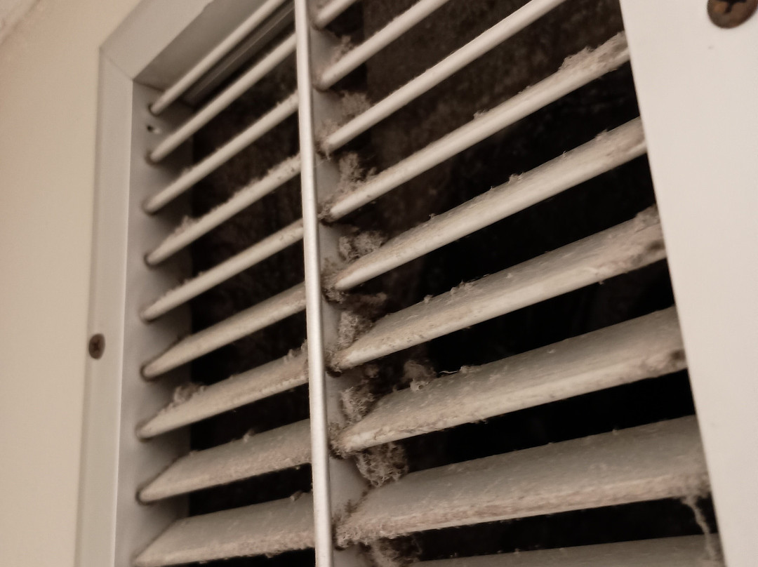 Holiday Inn Express Horse Cave By IHG主图