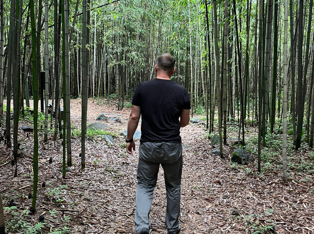 Guryong Village Bamboo Forest-益山市必去景点
