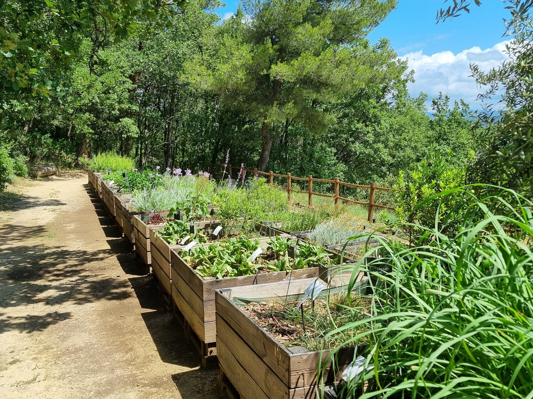 Jardin Botanique de La Citadelle景点图片