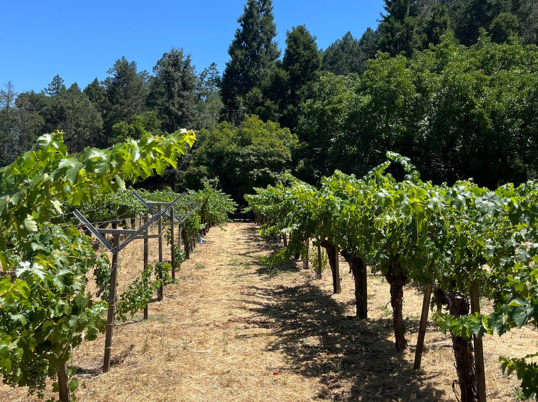 Tres Sabores Winery景点图片