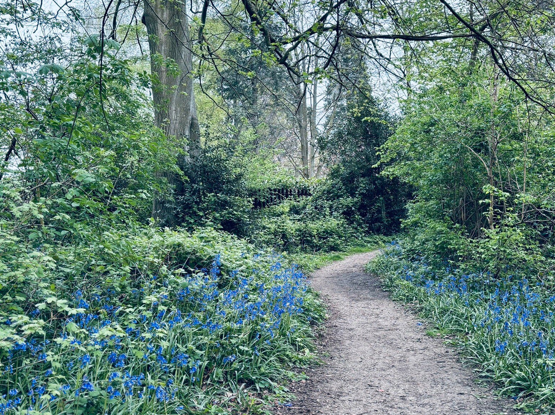 Vinters Valley Nature Reserve-梅德斯通必去景点