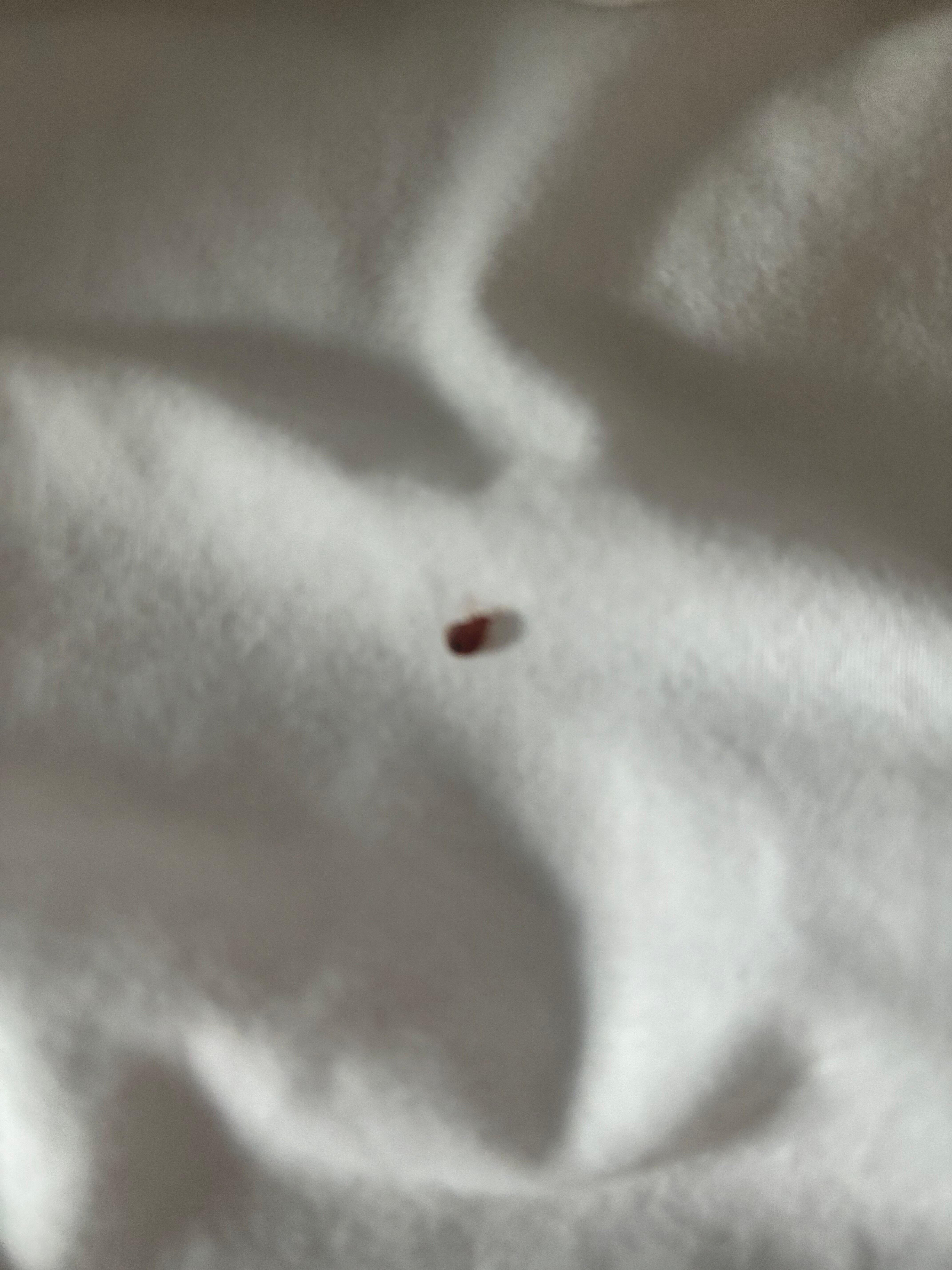 贝斯特韦斯特罗伯特招待酒店-官方