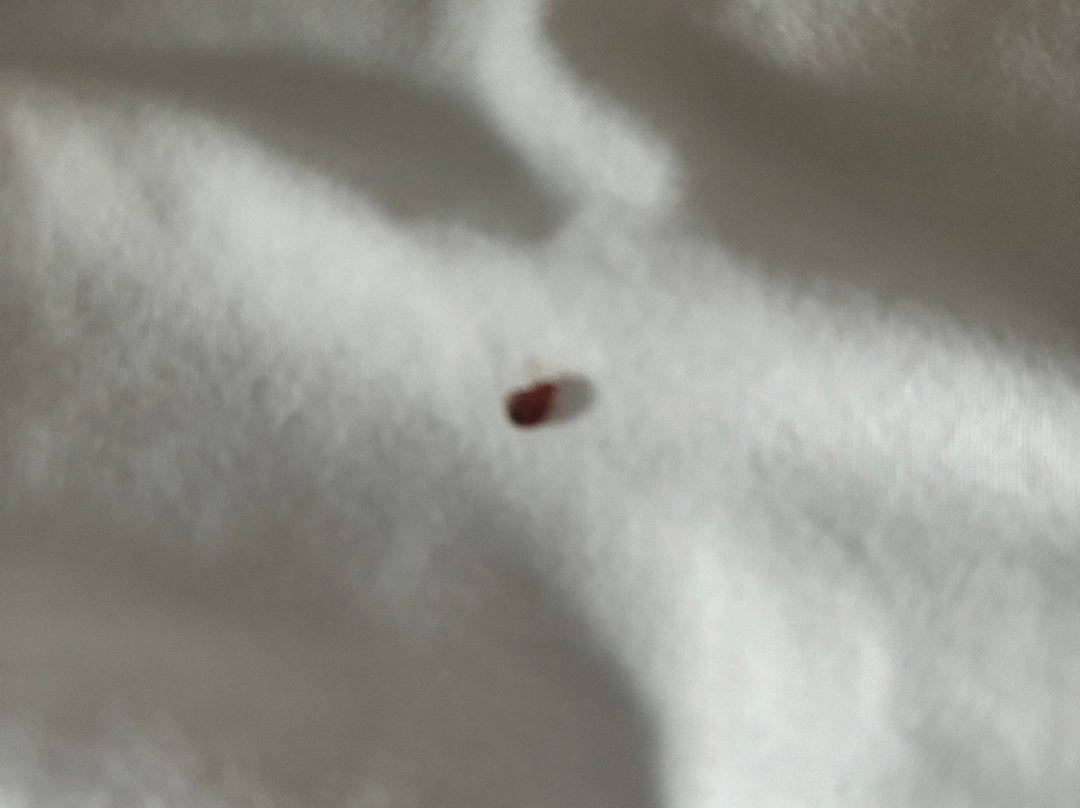 贝斯特韦斯特罗伯特招待酒店主图