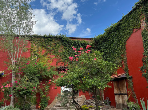 Oaxacool tours & experiences-瓦哈卡必去景点