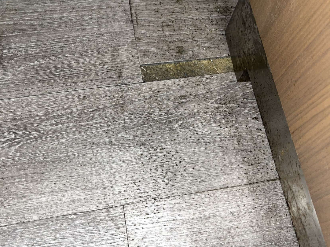 Courtyard by Marriott Toronto Vaughan主图