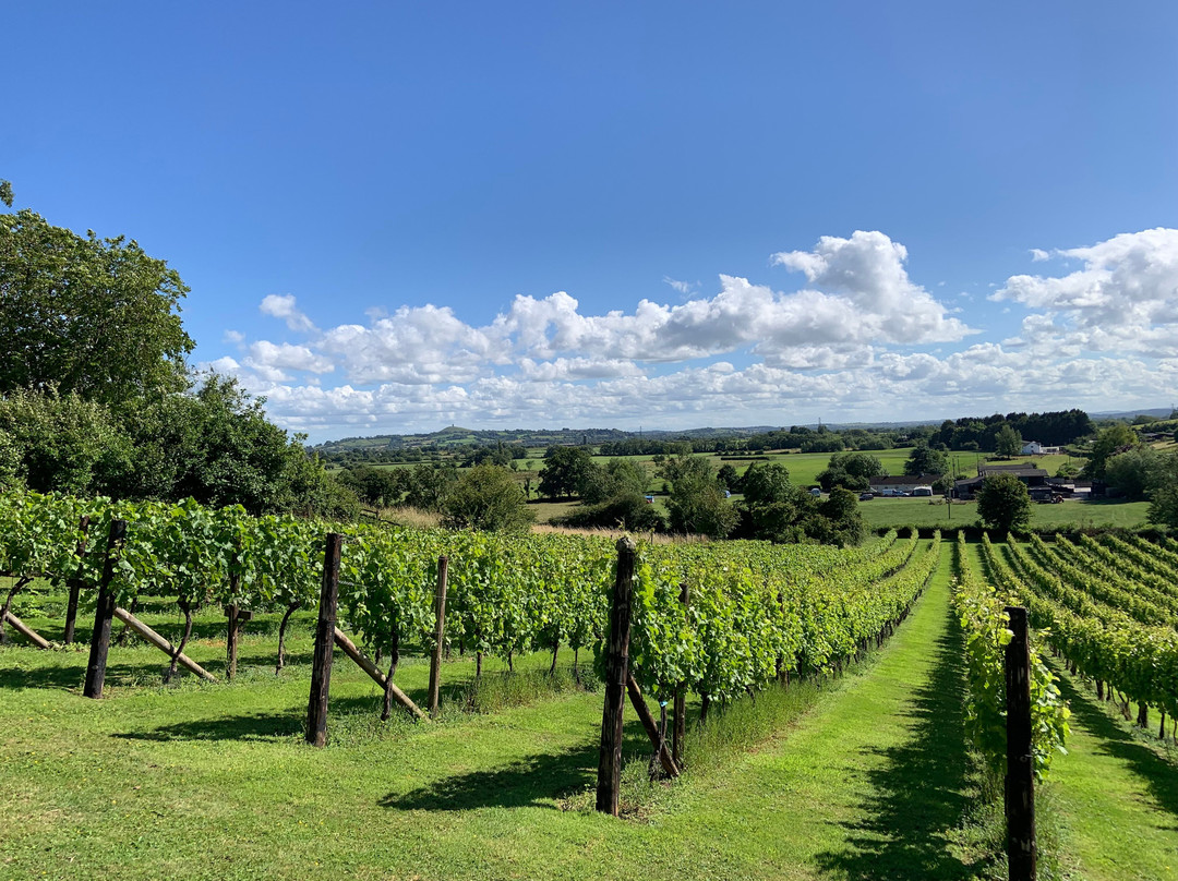 Fenny Castle Vineyard景点图片