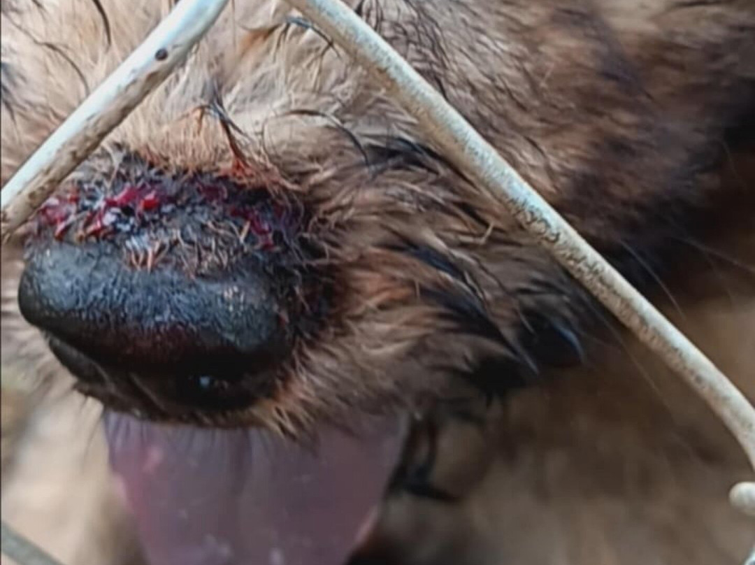 Frog Pond Farms-Bainbridge必去景点