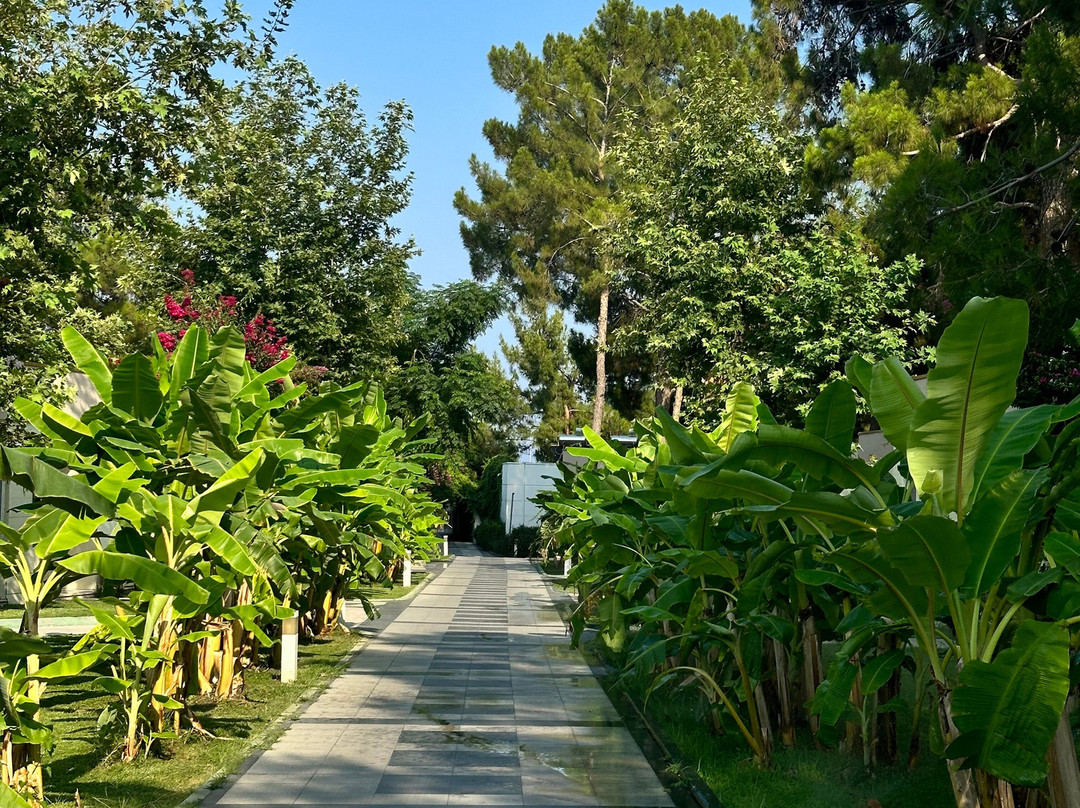 Premium Luxe Villa Kemer Amara Luxury Resort & Villas All Inclusive