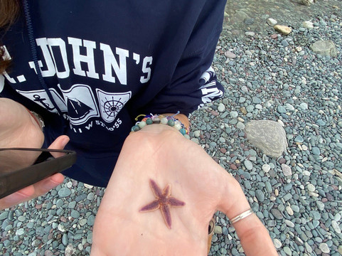 Middle Cove Beach-Logy Bay - Middle Cove - Outer Cove必去景点