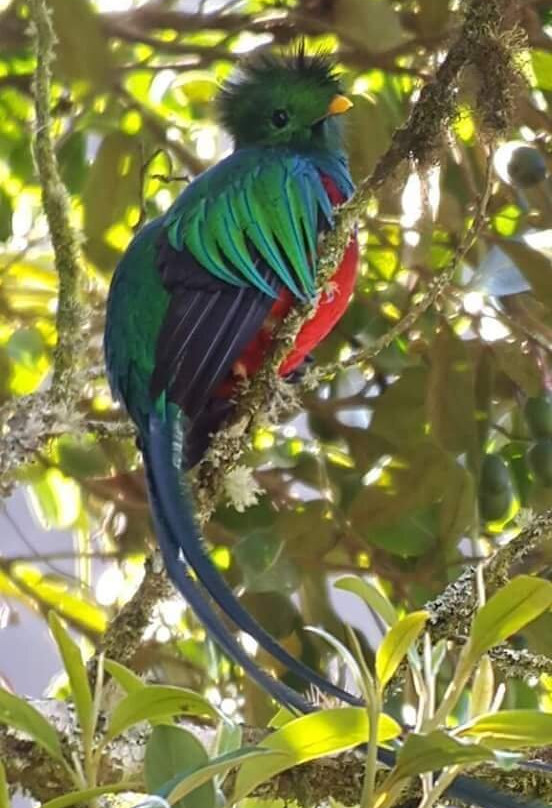 Kats Tours-巴拿马城必去景点