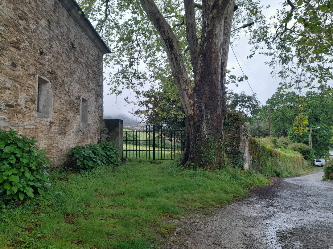 Pazo De San Isidro景点图片