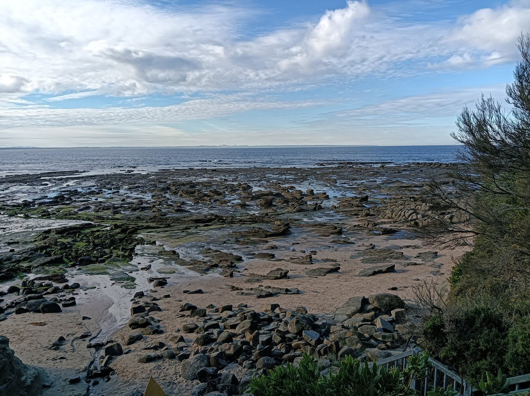 Dinosaur Dreaming-Inverloch必去景点