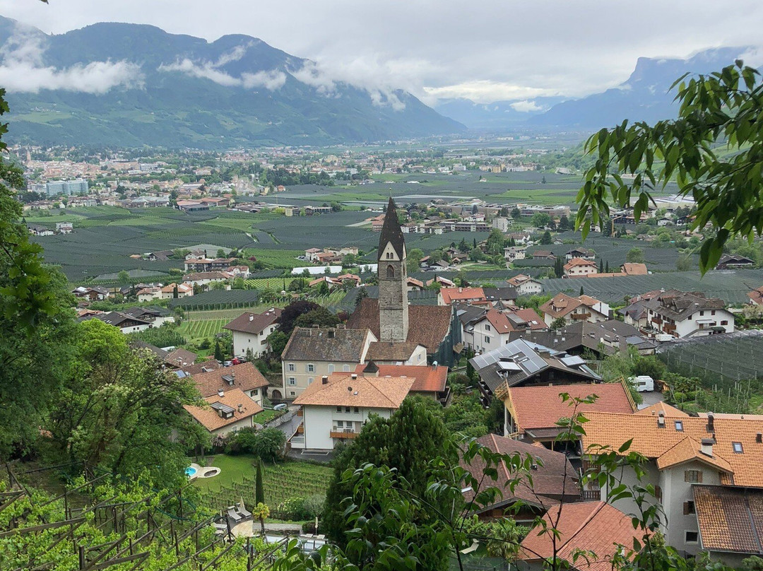 哈莫尼尔酒店主图