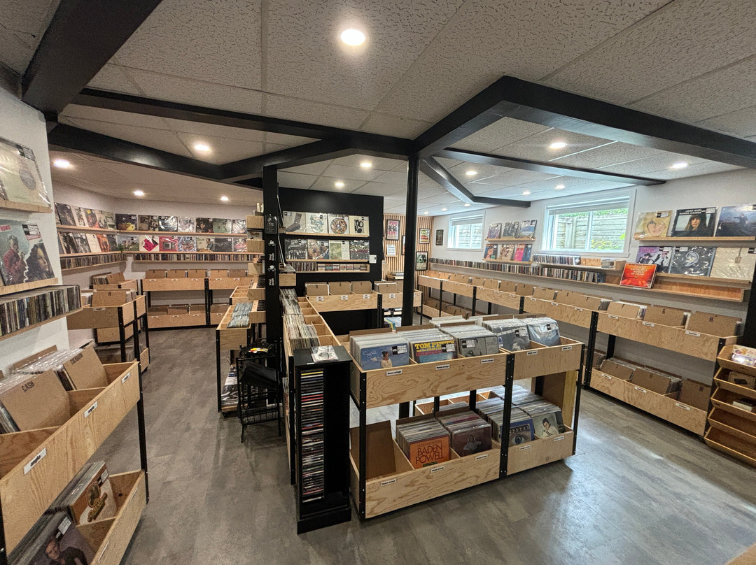 Audiostop Disquaire景点图片