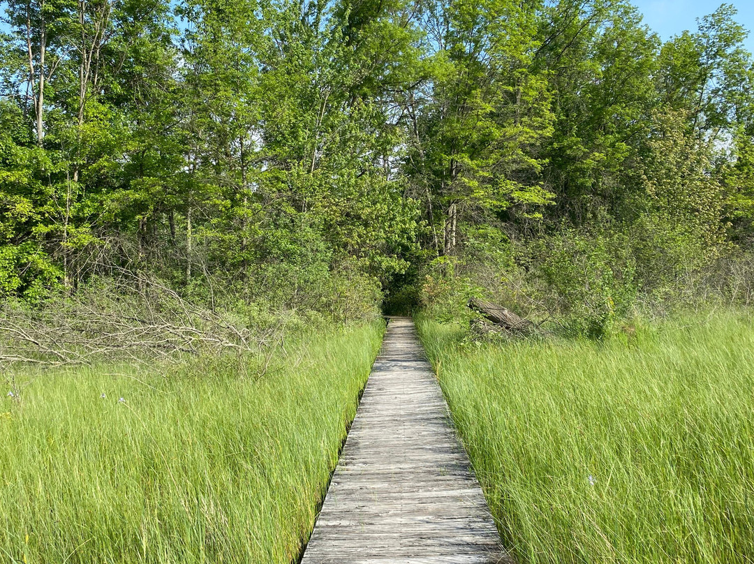 Irwin Prairie State Nature Preserve-托莱多必去景点