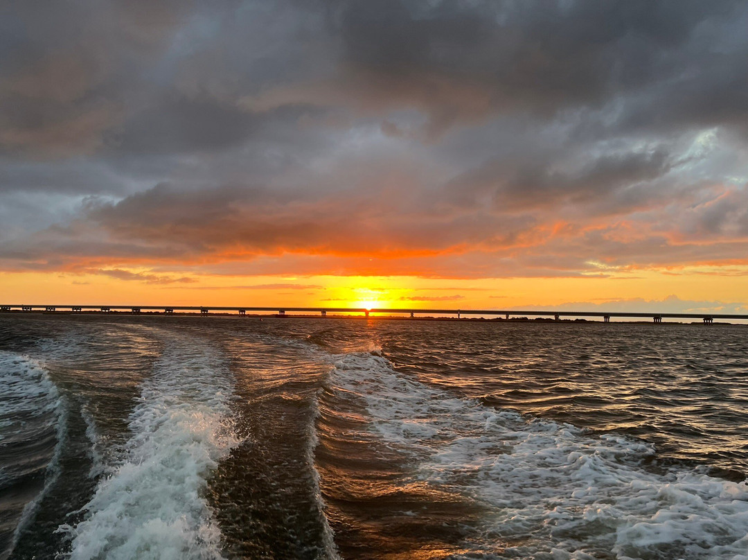Sinbad Sportfishing Charters-纳格斯海德必去景点