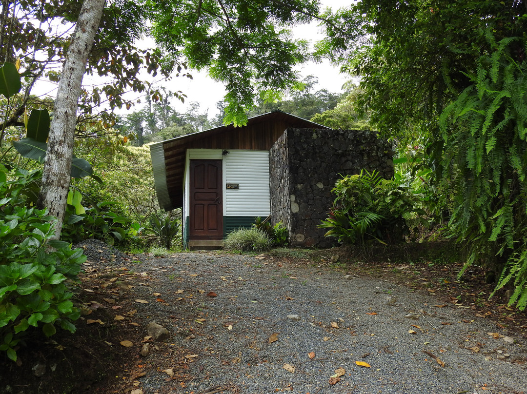 Hotel Quelitales主图