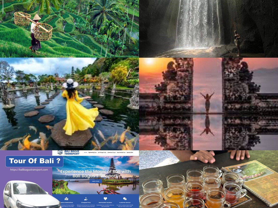 Bali Bagus Transport-登巴萨必去景点