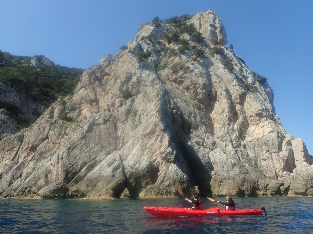 Go Sea Kayak-奥尔比亚必去景点