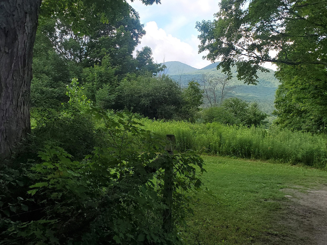 Chipman Stables-Danby必去景点