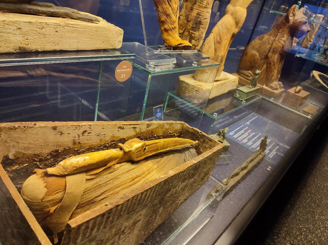 Antikenmuseum Basel und Sammlung Ludwig-巴塞尔必去景点