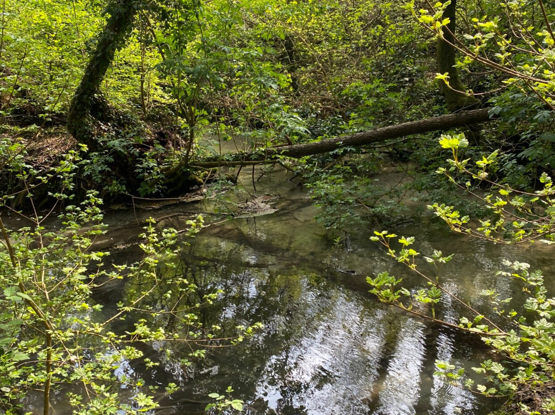 Parco Naturale Regionale del Fiume Sile-特雷维索必去景点