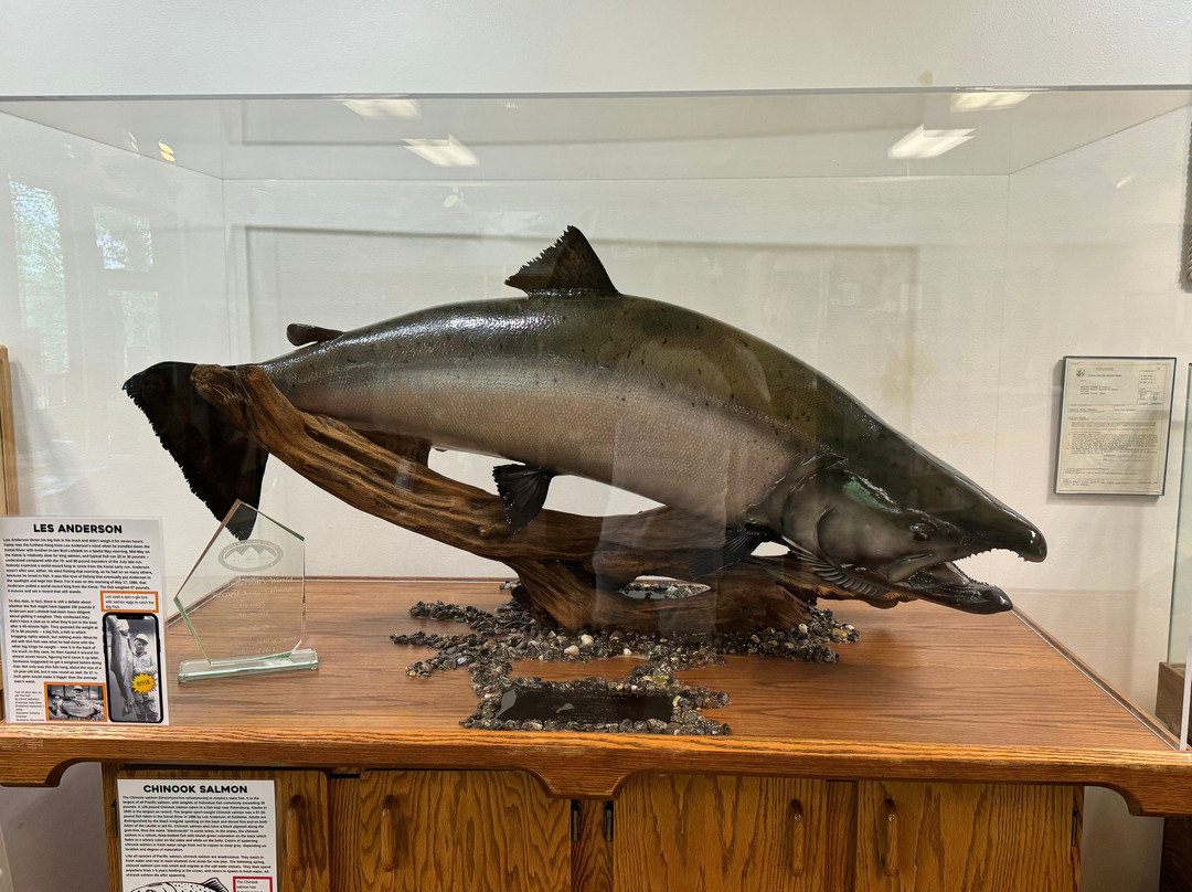 Soldotna Visitor Center-索尔多特纳必去景点