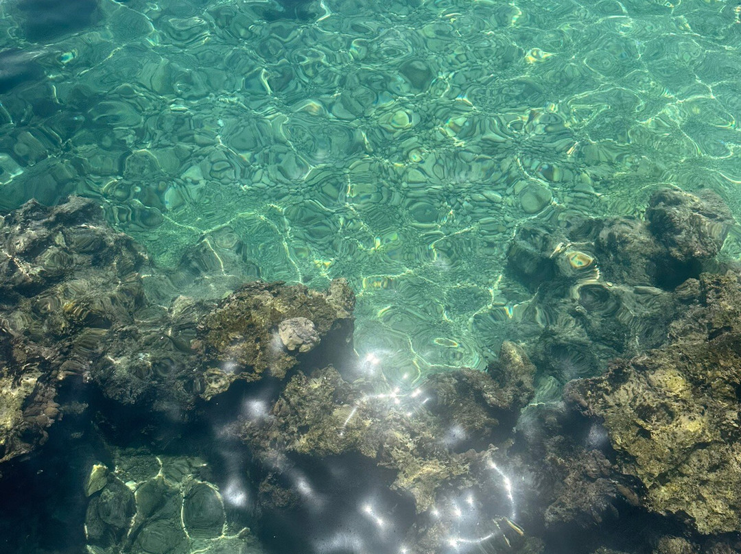 Hidayet Bay Beach景点图片