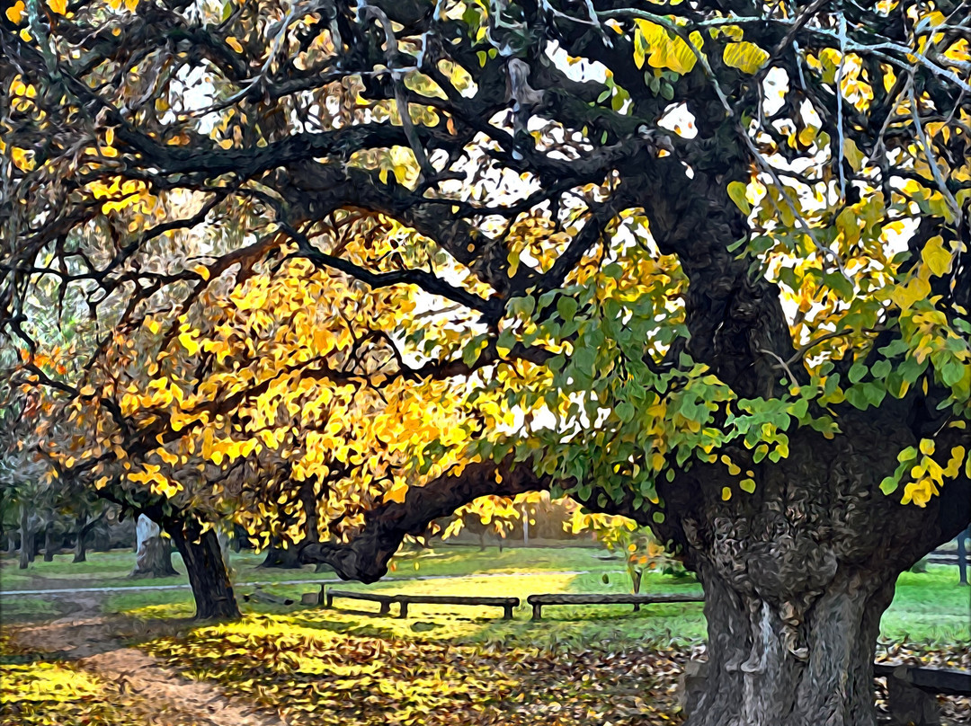 Parque Eva Hajduk-Berazategui必去景点