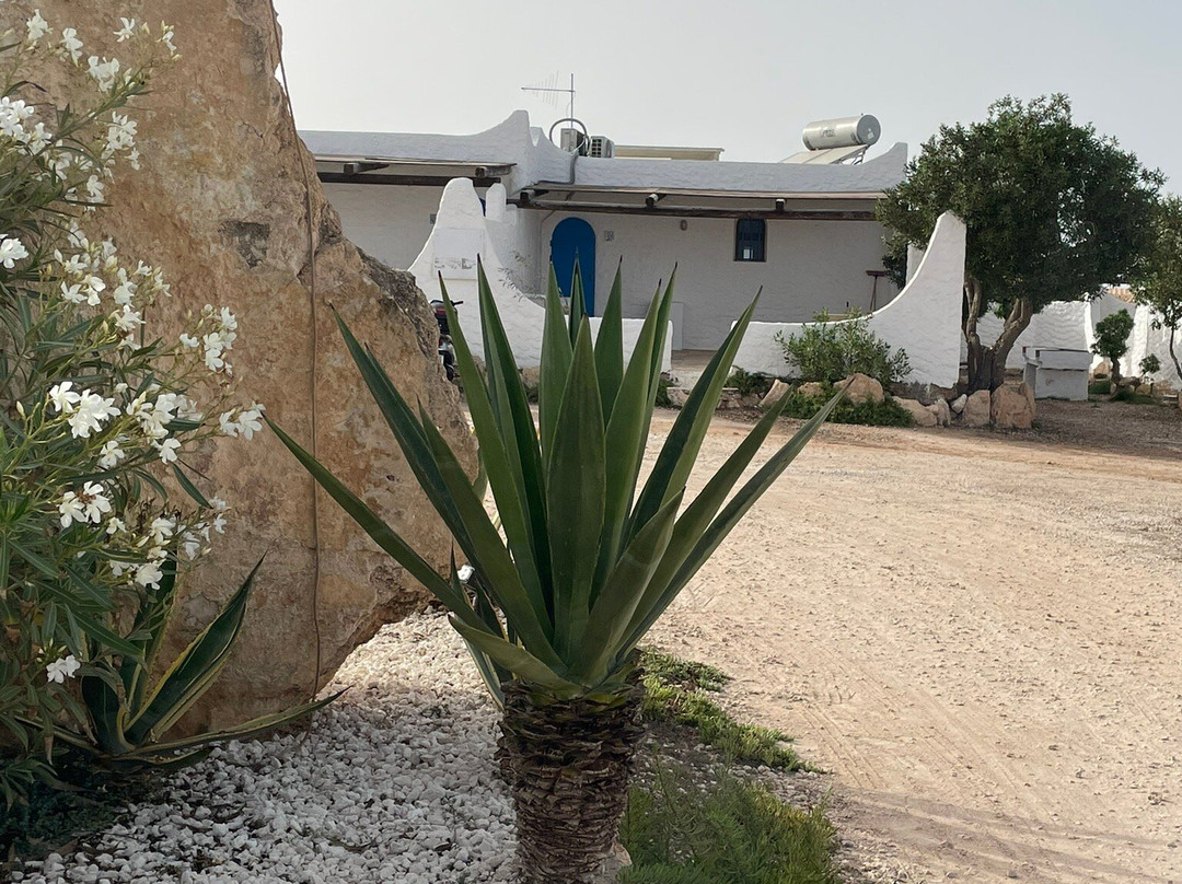 Le Villette Di Cala Creta主图