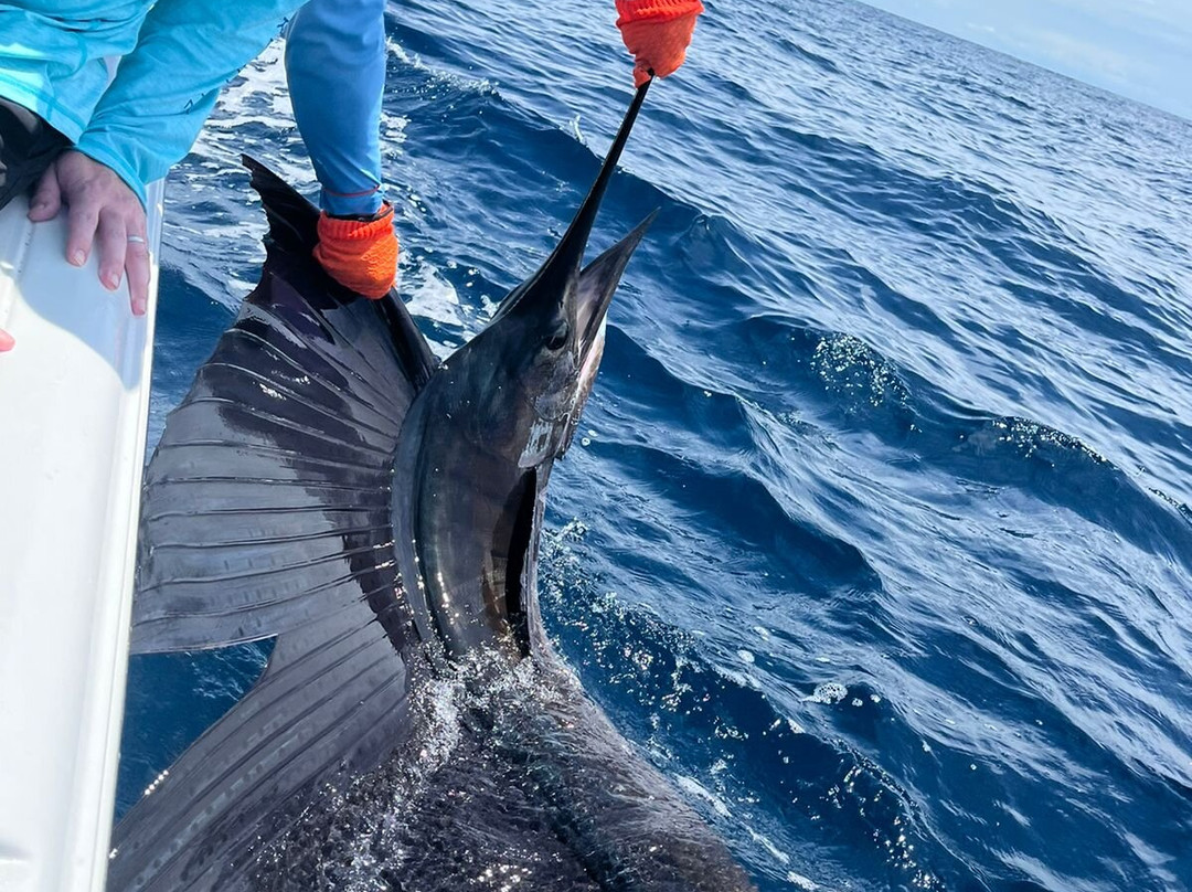 El Jefe Sport Fishing景点图片