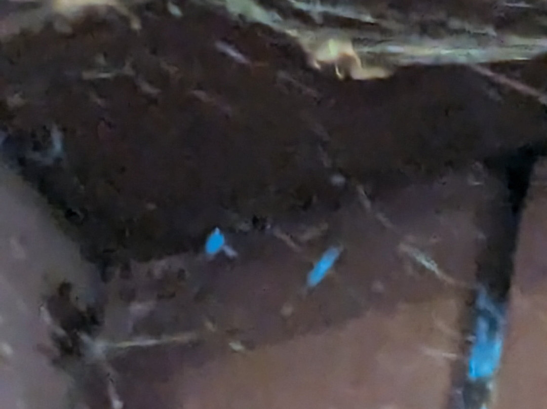 Cranes Mill Park-峡谷湖必去景点