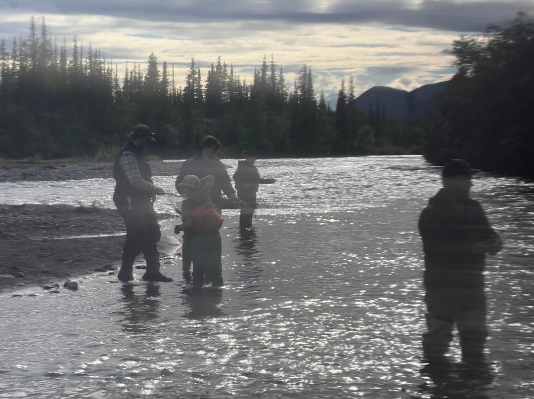 Denali Fly Fishing Guides景点图片
